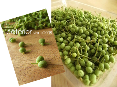 実山椒の佃煮 枝から外す編 Eaterior