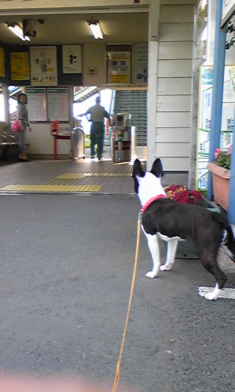 c0116398_2213837.jpg