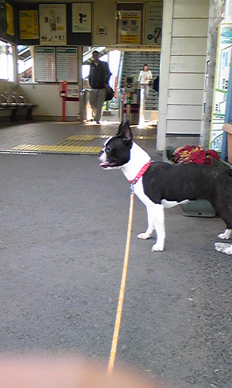 c0116398_22142183.jpg