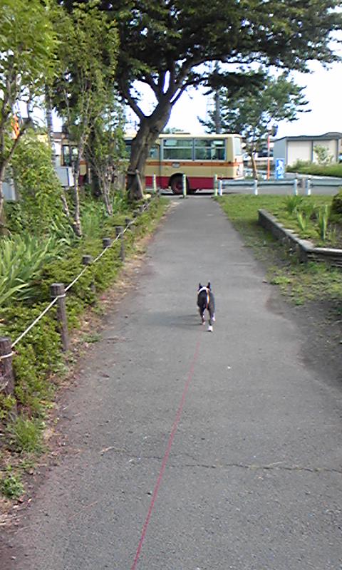 c0116398_2243835.jpg