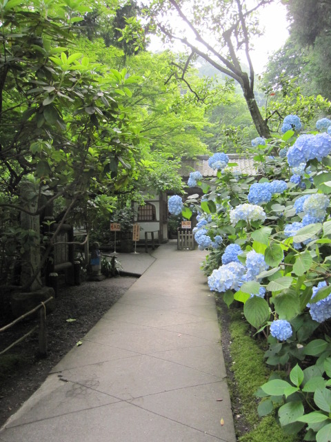 a0075800_21164577.jpg