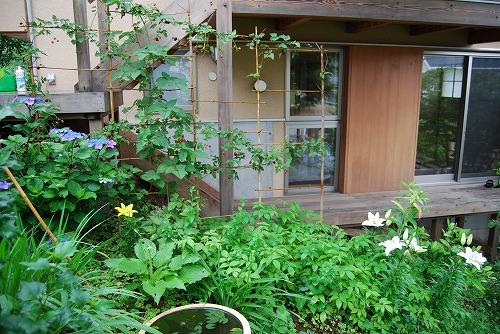 c0124100_10492720.jpg