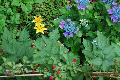 c0124100_1050021.jpg