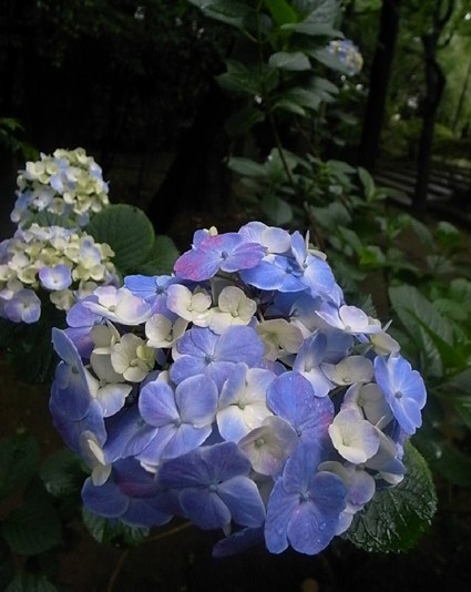 e0043700_22512620.jpg