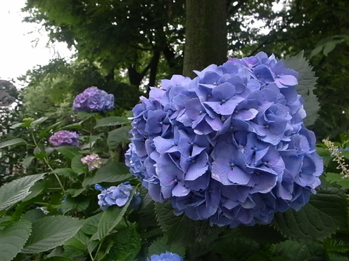 e0043700_22515515.jpg