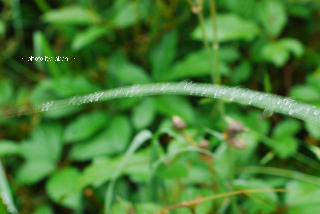失敗は成功の元・・・?_c0198903_21551865.jpg