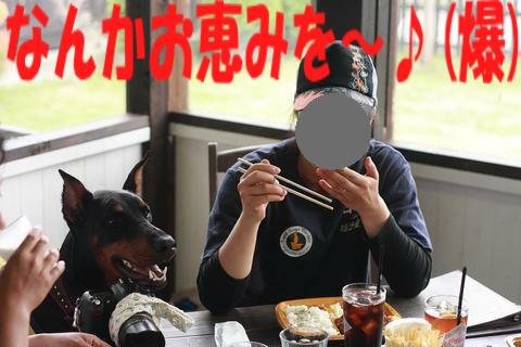 e0100007_22162430.jpg