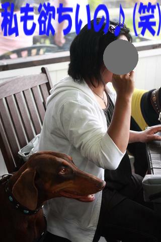 e0100007_22173778.jpg