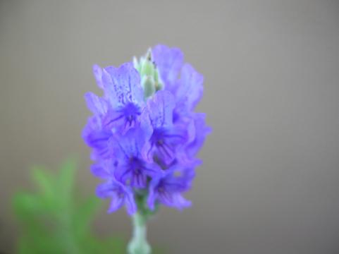 d0036611_22221394.jpg