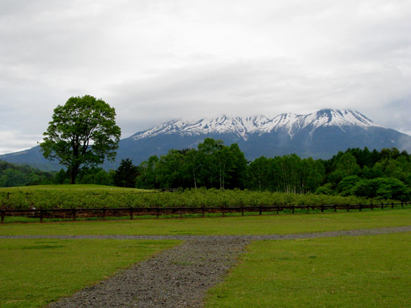 木曾路を歩く 5.開田高原_e0048413_20214446.jpg