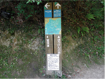 散歩部活動報告 「星のブランコ」_e0142619_325051.jpg