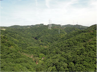 散歩部活動報告 「星のブランコ」_e0142619_335023.jpg