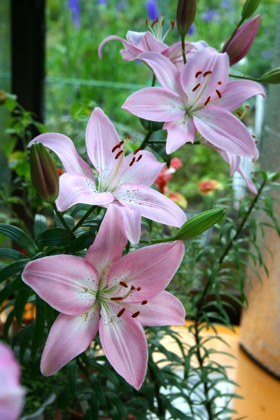 a0004023_21504763.jpg