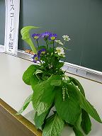 b0144125_11141826.jpg