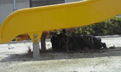 f0203327_15373853.jpg
