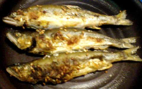 旬 旬 旬っ アユの簡単塩焼き 初心者のための釣り教室 釣りツアー