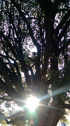 e0171737_1551396.jpg