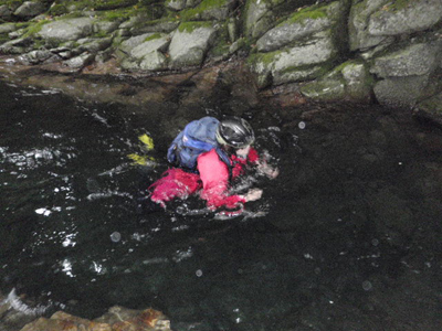 e0110940_10325811.jpg