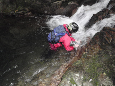 e0110940_1034924.jpg