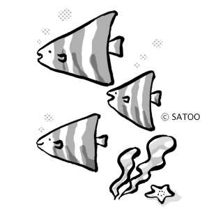 熱帯魚のイラスト 夏のイラスト サトゥーのイラストとデザイン よんぷりnews