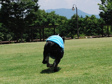 e0126046_22564714.jpg