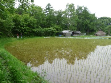 花と縄文めぐりウォーク下見_f0019247_10262528.jpg