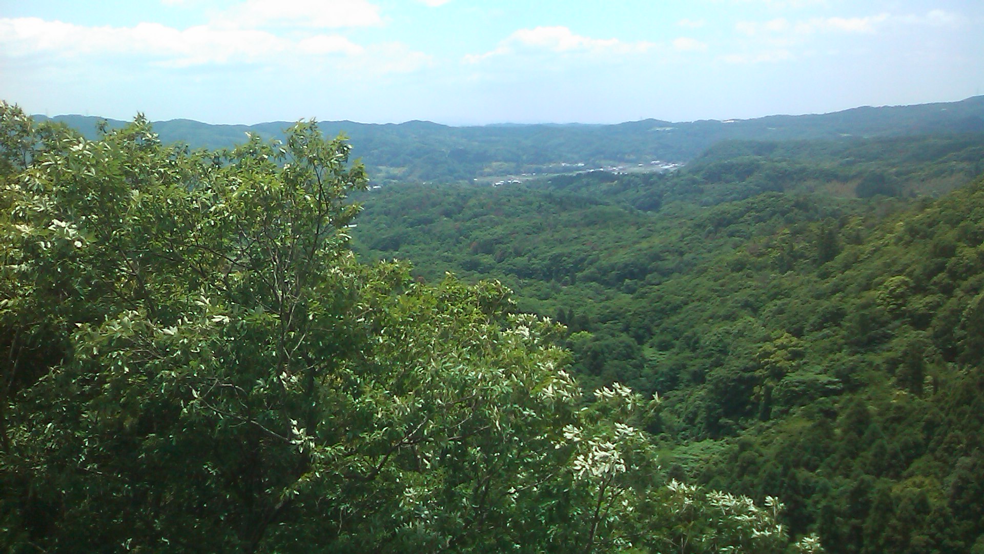 c0105957_23522578.jpg