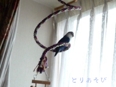 e0147757_198241.jpg