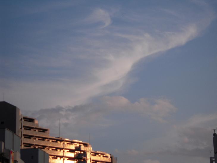 d0135762_2315531.jpg