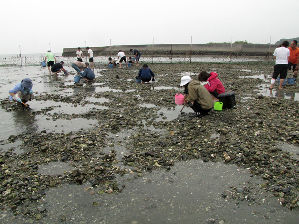 潮干狩り 知多半島 矢梨海岸 色即是空68