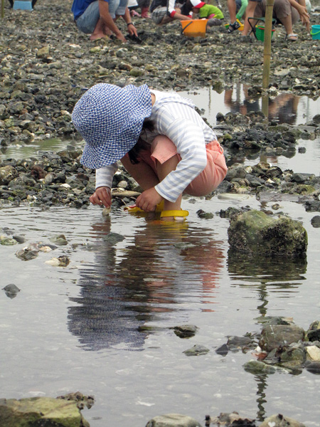 潮干狩り 知多半島 矢梨海岸 色即是空68