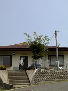 女子畑の様子..._〆(・∀・@) _e0175370_15353397.jpg