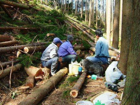 梅雨入り前に下草刈り_c0122281_922387.jpg