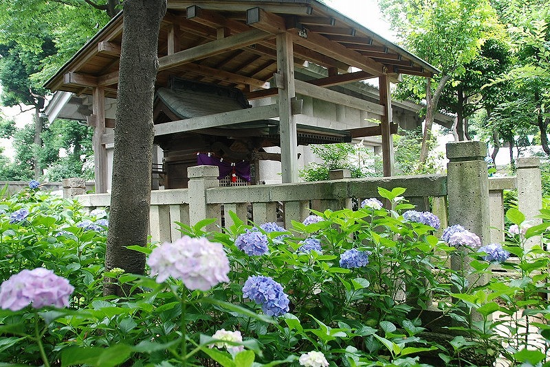 c0187781_09726.jpg