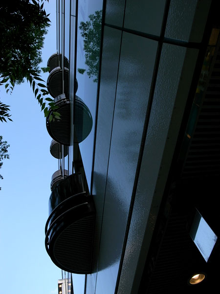 雨あがり…　そして未撮_e0082981_23135980.jpg