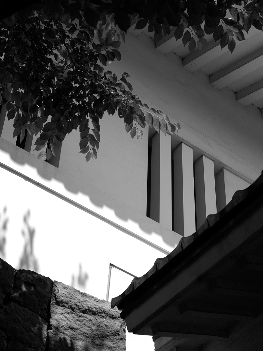 f0121181_2352731.jpg