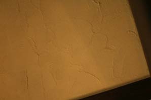a0107782_21361979.jpg