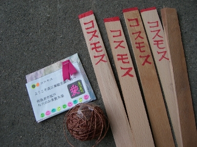 コスモス。_a0045293_93471.jpg