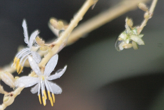 d0133693_2149977.jpg