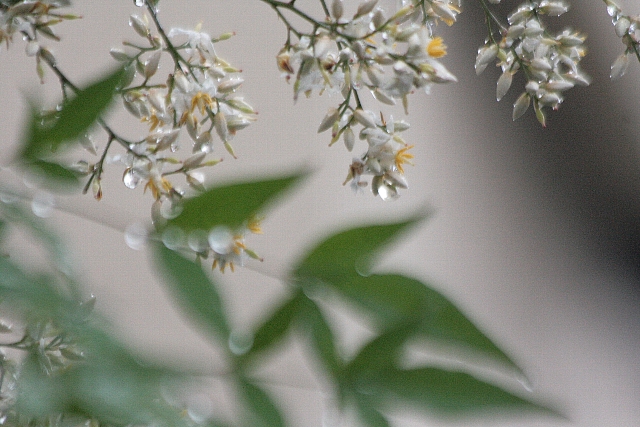 d0133693_21513069.jpg