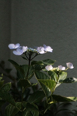 d0133693_22105855.jpg