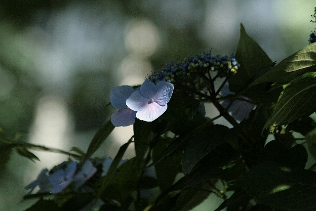 d0133693_22122944.jpg