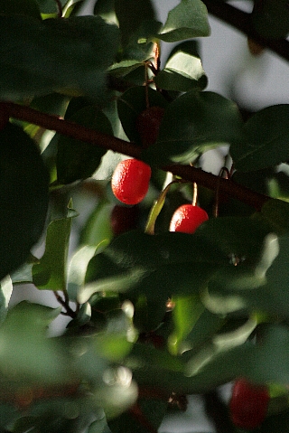 d0133693_22152475.jpg