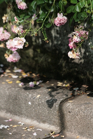 d0133693_22155263.jpg