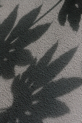 d0133693_22155845.jpg