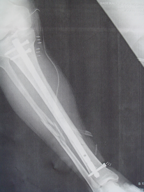 f0165495_22414440.jpg