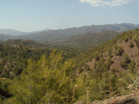 c0180096_614201.jpg