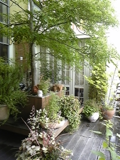 f0017897_1831079.jpg