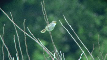 c0059002_21572815.jpg