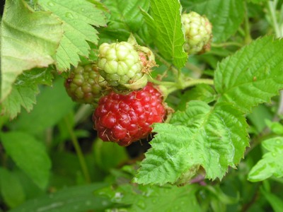 c0156104_23373951.jpg